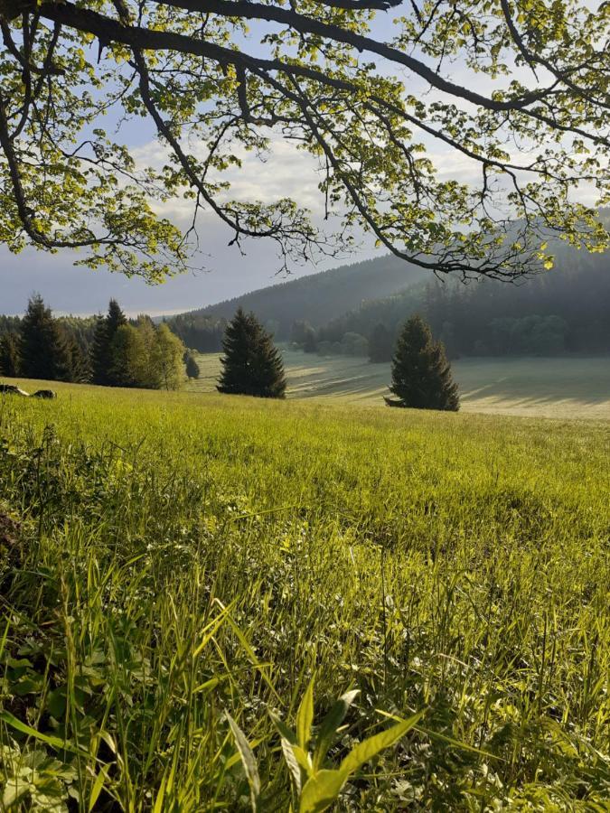 Chalupa U Pratel Kovářská Exteriör bild