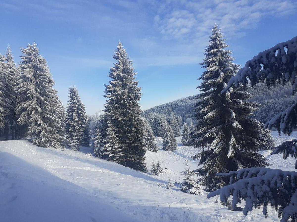 Chalupa U Pratel Kovářská Exteriör bild